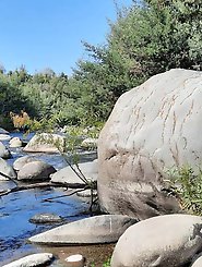 Mommy Big Ass in Outdoors