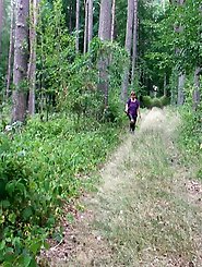 Chocolate bars and pissing