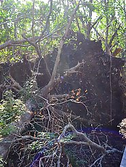 Ultra-sexy older chick is getting nude